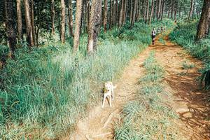 BIB: 
                            <button type="button" onclick="openModal(25653581)" class="btn btn-primary btn-sm float-right btn-popup" data-toggle="modal" data-target=".modal-high-quality">
                        <i class="fas fa-shopping-cart"></i> Add to Cart
                    </button>
                                            <button type="button" onclick="isThisMe(25653581, true)" class="btn btn-success btn-sm float-right btn-popup btn-isme hidden" data-toggle="tooltip" data-placement="bottom" title="นี่คือรูปของคุณใช่ไหม คลิกที่นี่เพื่อเอาเข้าอัลบั้ม">
                        <i class="fas fa-plus"></i> Add to album
                    </button>
                    <button type="button" onclick="isThisMe(25653581, false)" class="btn btn-warning btn-sm float-right btn-popup btn-isnotme hidden">
                        <i class="fas fa-ban"></i> Remove from album
                    </button>